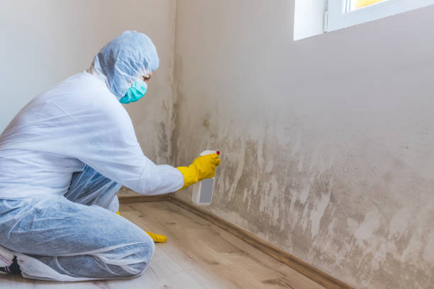 Hvac And Air Duct Mold Remediation inspection of HVAC system in Haskell